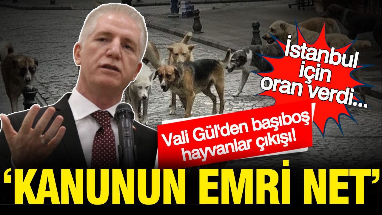 istanbul-valisi-davut-gulden-basibos-hayvanlar-cikisi-kanunun-emri-net-LiaZe7WC