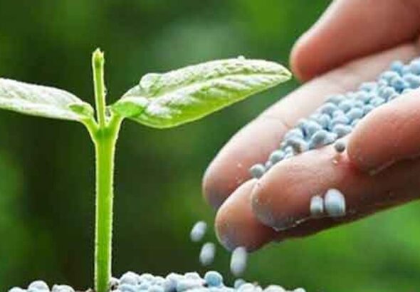 rusyadan-gubre-fiyatlarina-fren-tavan-uygulamasi-2026-sonuna-uzatildi-bKxB32sp